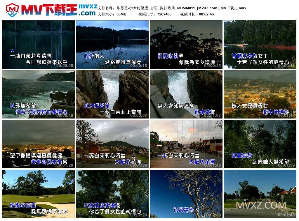 陈芬兰-孝女的愿望_台语_流行歌曲_MC504011